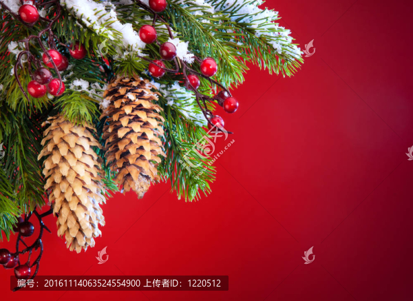 藝術(shù)圣誕樹(shù)庇護(hù)雪