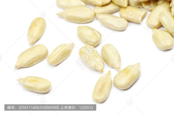 葵花籽