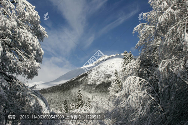 晴朗的天氣過(guò)后，一片新鮮的雪