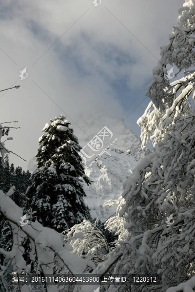 晴朗的天氣過后，一片新鮮的雪