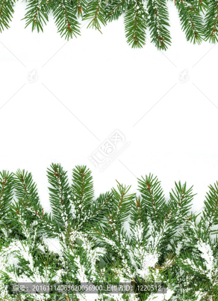 雪的圣誕框架