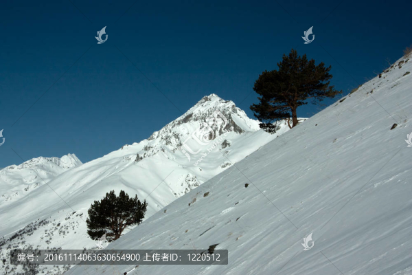 冬季雪山滑雪旅游勝地；高加索；俄羅斯