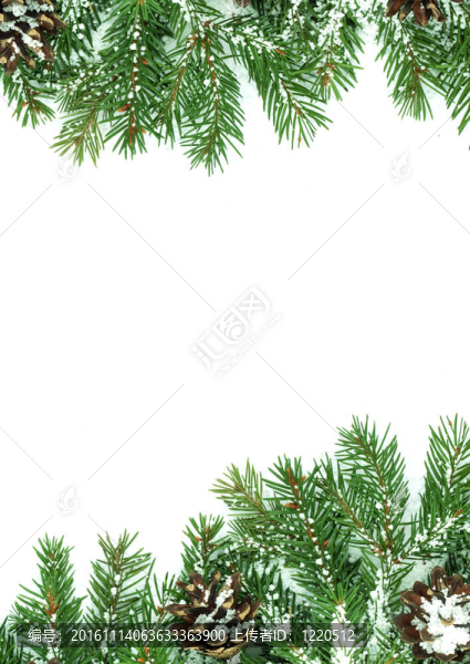雪的圣誕框架