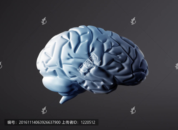 腦