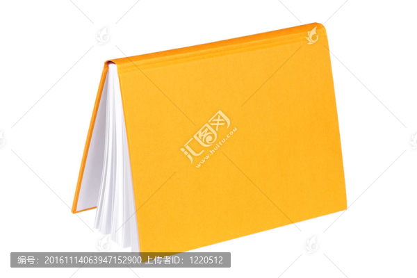 黃皮書