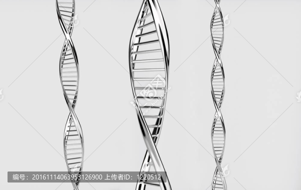DNA螺旋