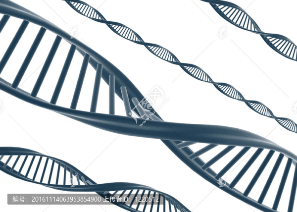 DNA