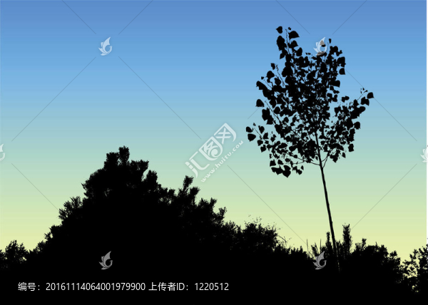 晚上的插圖