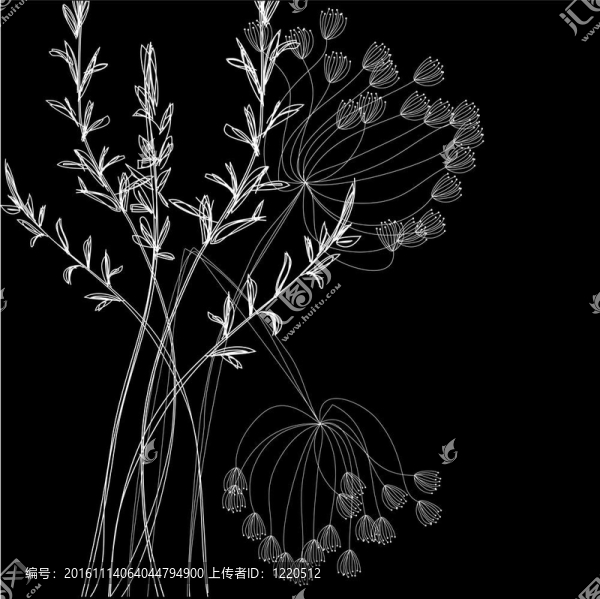 白色的花