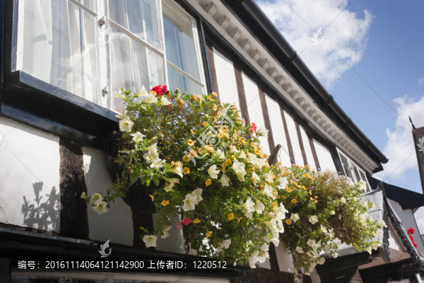 掛籃在木框都德之家酒店。