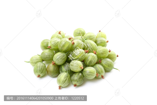 醋栗