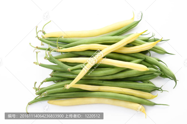 法國豆