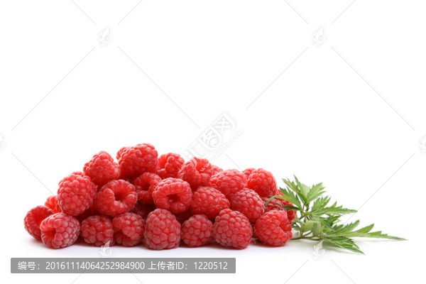 覆盆子