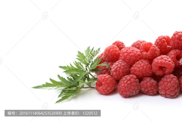 覆盆子