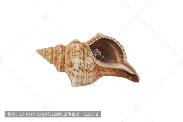 海舟