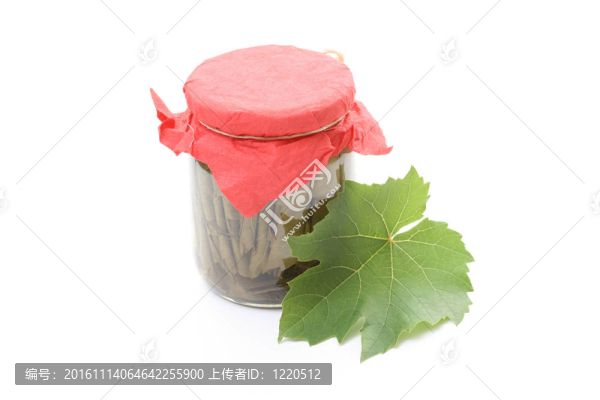 攀藤植物葉