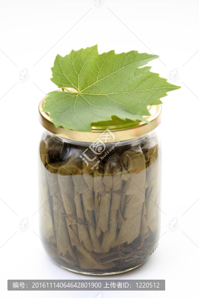 攀藤植物葉