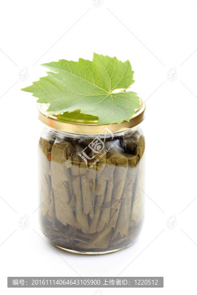 攀藤植物葉