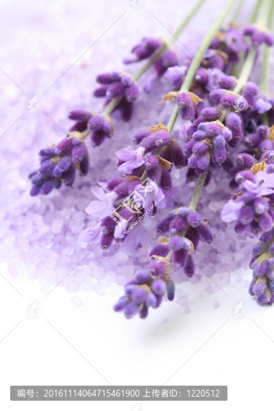 薰衣草沐浴鹽