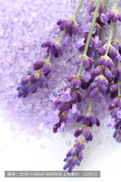 薰衣草沐浴鹽