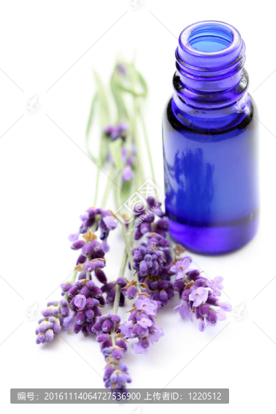 薰衣草油
