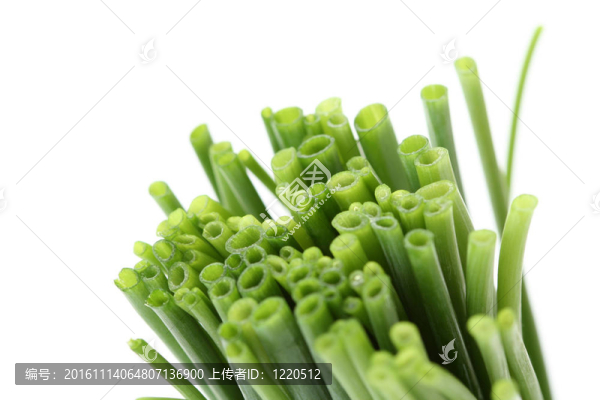韭菜
