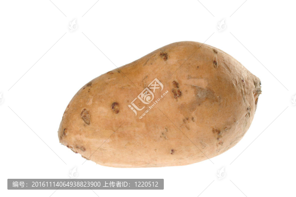 甘薯（lat.,Ipomoea,batatas）白色隔離