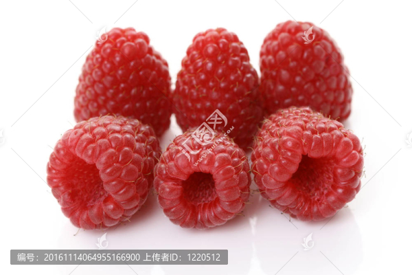 覆盆子