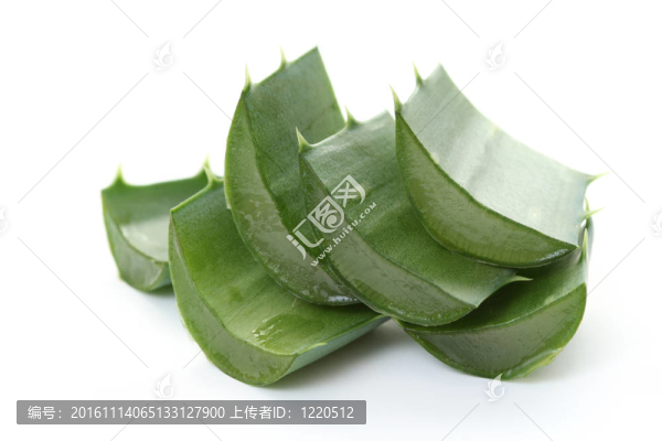 蘆薈