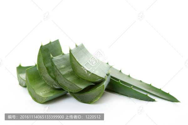 蘆薈
