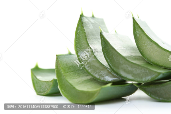 蘆薈