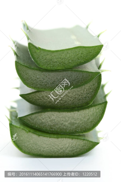 蘆薈