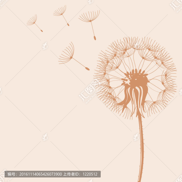 吹蒲公英