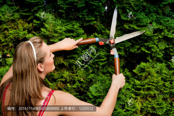 花園修剪籬笆的女人