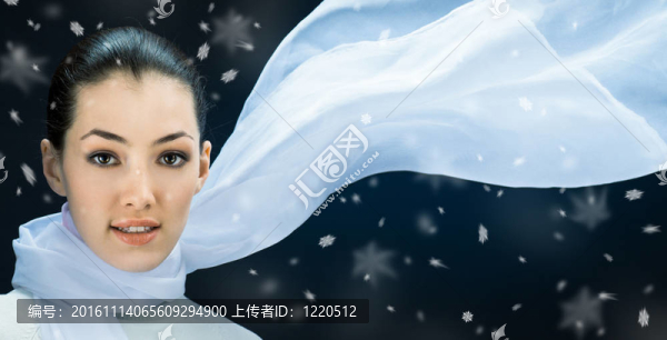 寒冷的風(fēng)雪