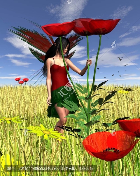 紅罌粟的仙女Cornfield,Back