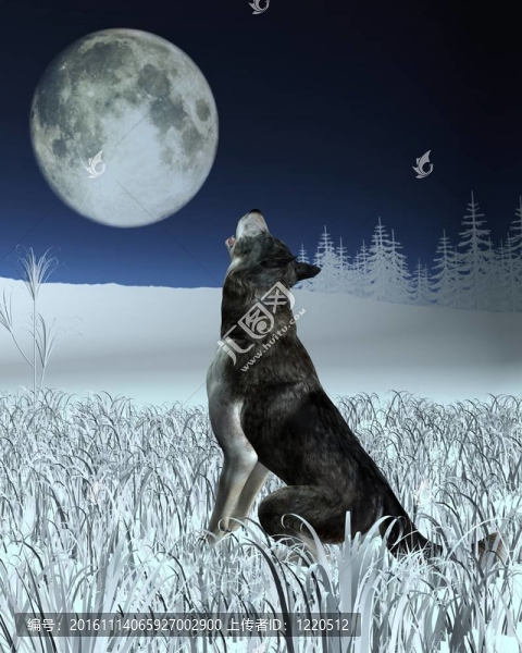 Wolf,Howling在滿月