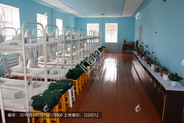 小罪犯的殖民地