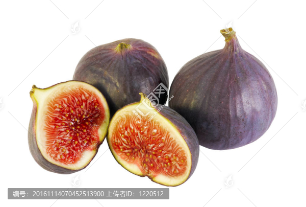 漿果無花果