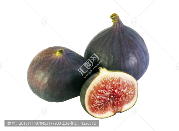 無花果上的無花果-匯圖網(wǎng) www.fosd68.com 無花果上的無花果