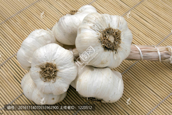 編織Fresh,Garlic