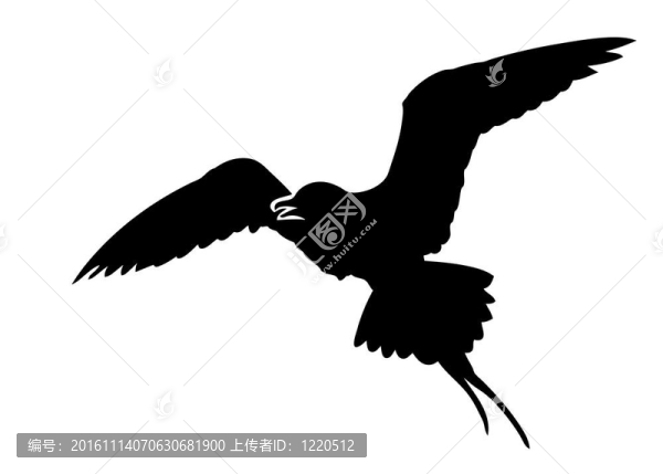 白色背景上的鳥(niǎo)剪影