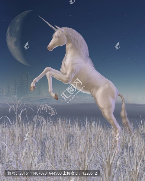 冬季獨(dú)角獸飼養(yǎng)