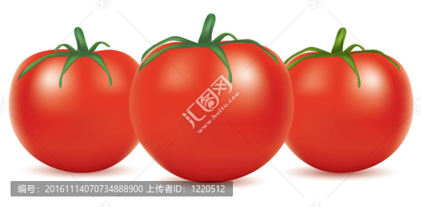 西紅柿