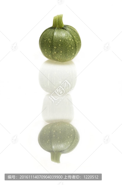 西葫蘆