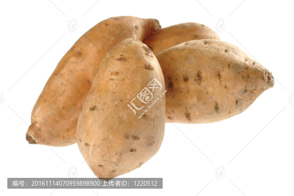 甘薯（lat.,Ipomoea,batatas）白色隔離（選擇性聚焦；在前面的紅薯焦點）