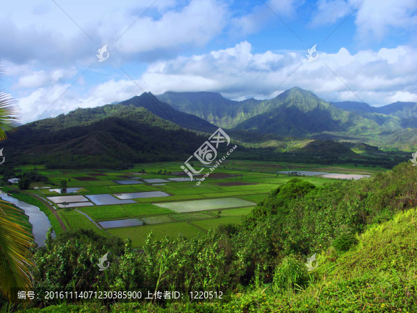 哈納雷了望；考艾；夏威夷