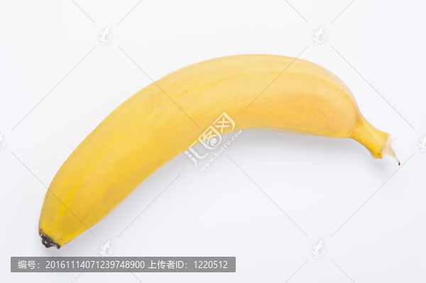 孤立的單一的香蕉