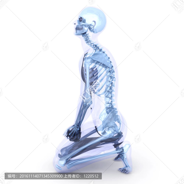 坐在解剖-匯圖網(wǎng) www.fosd68.com 坐在解剖