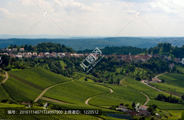 葡萄園在斯圖加特的秋天